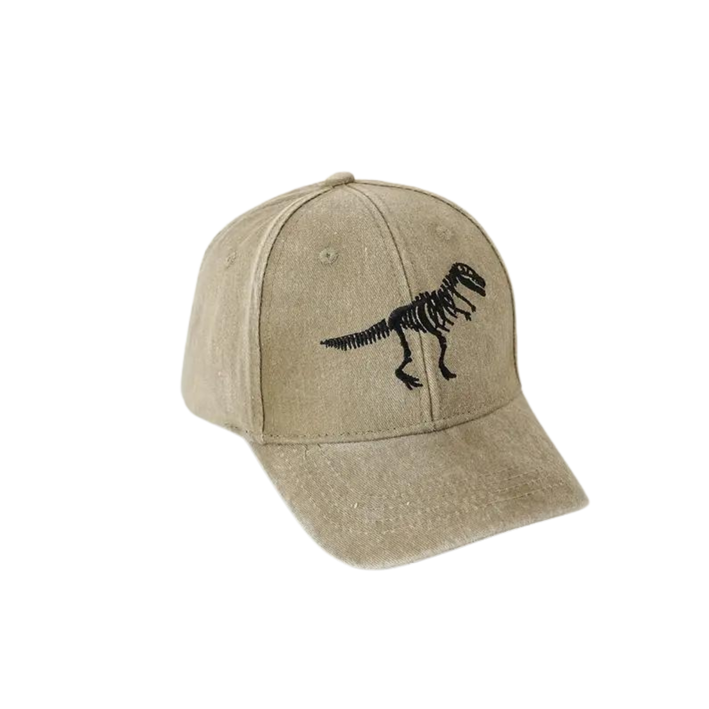 Dinosaur Skeleton Embroidery Baseball Hat