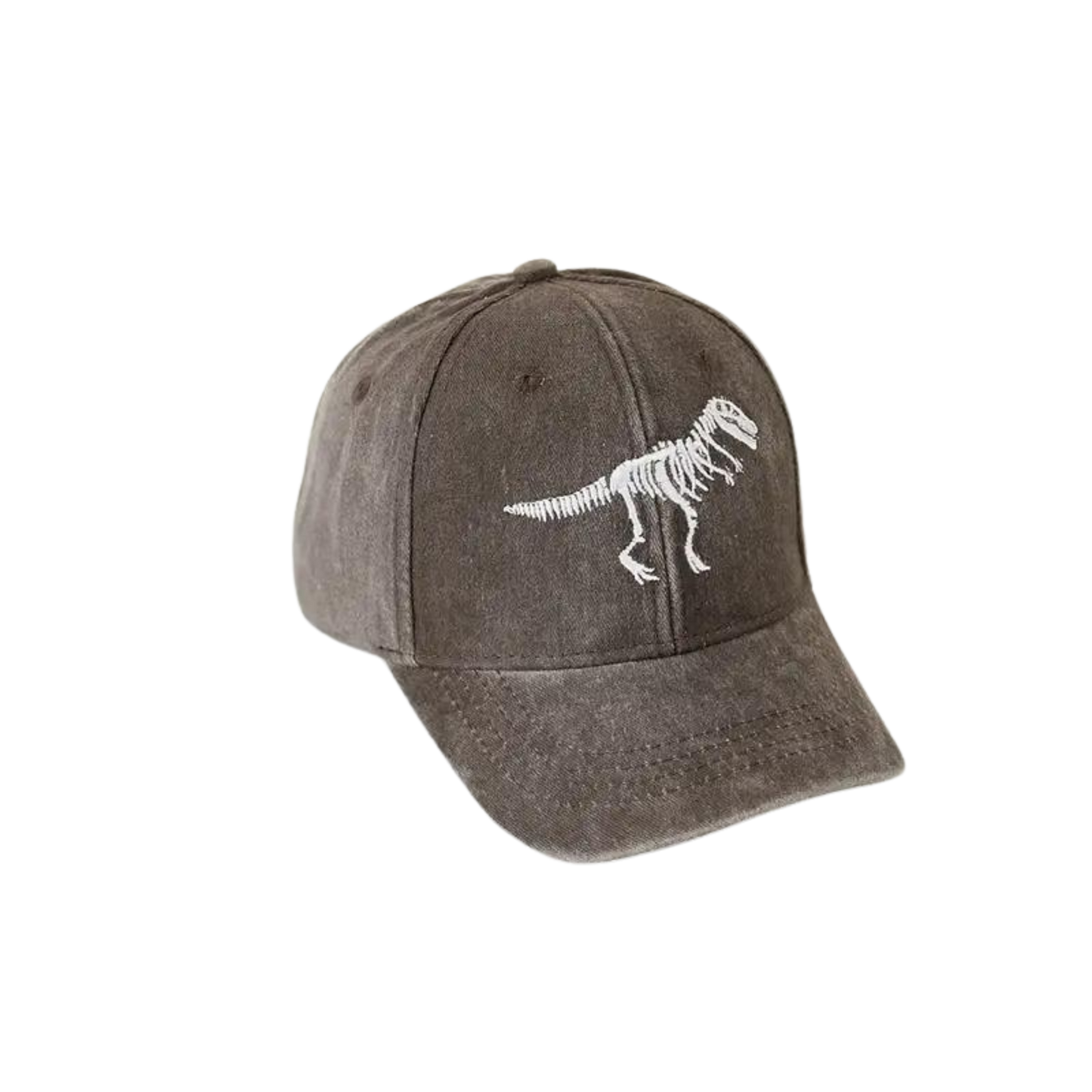 Dinosaur Skeleton Embroidery Baseball Hat