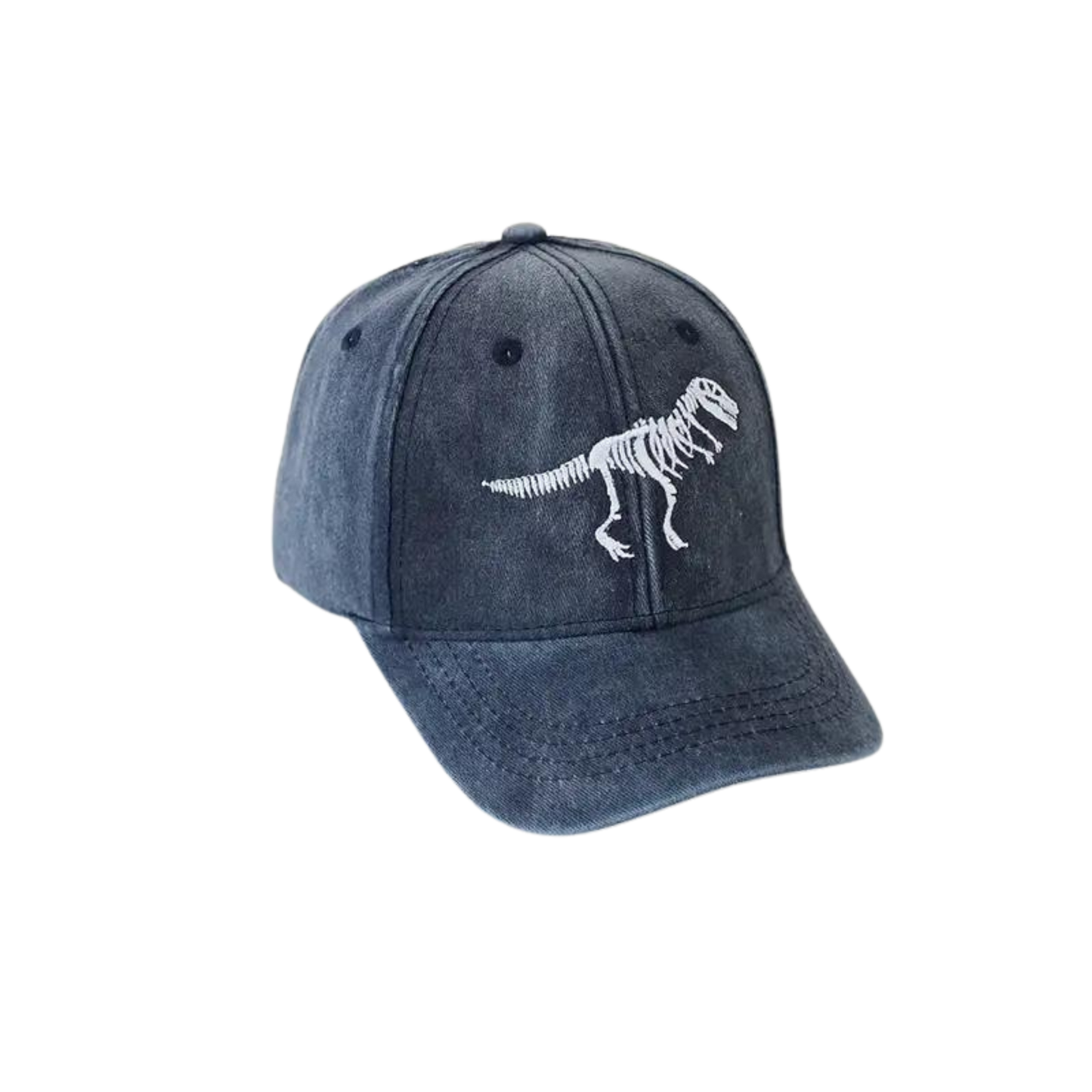 Dinosaur Skeleton Embroidery Baseball Hat