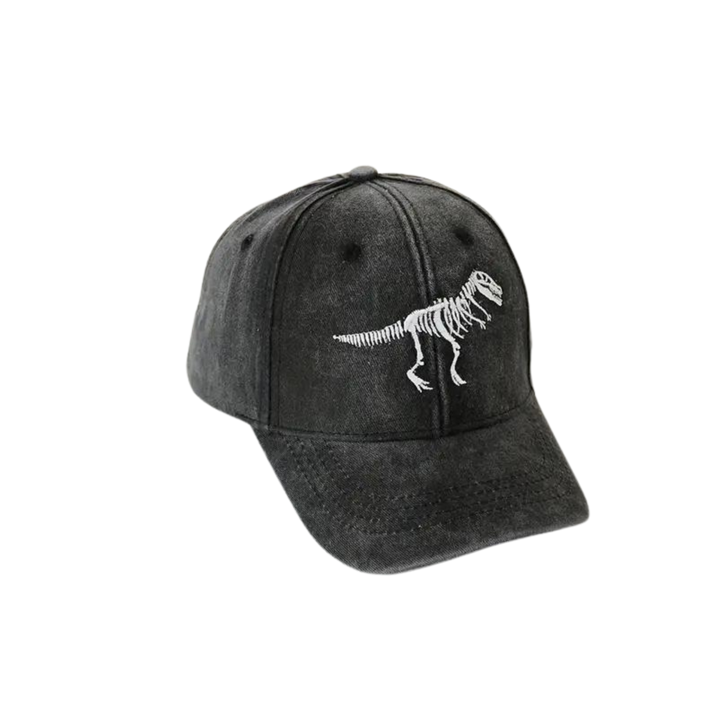 Dinosaur Skeleton Embroidery Baseball Hat